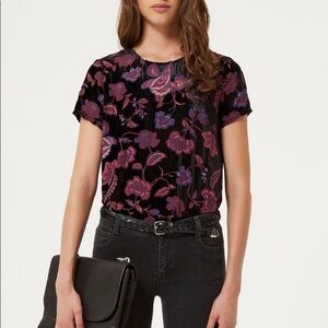 Rebecca Minkoff Alina Top in Black Multi Velvet Floral XS